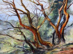 arbutus-on-mt-parke-12-x-16-inch-oil-on-canvas-by-terrill-welch-reworked-dec-11-2016-img_9103